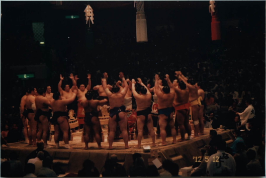 the ceremony of entering the ring