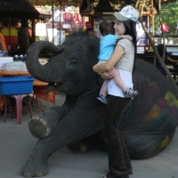 Riding elephant taxi, Amazing Thailand part 2