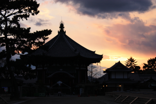Sunset of Kofukuji temple in Nara